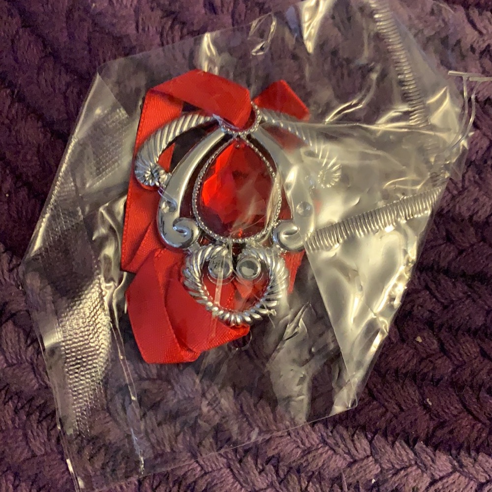 Vampire Cape - Picture 5 of 6